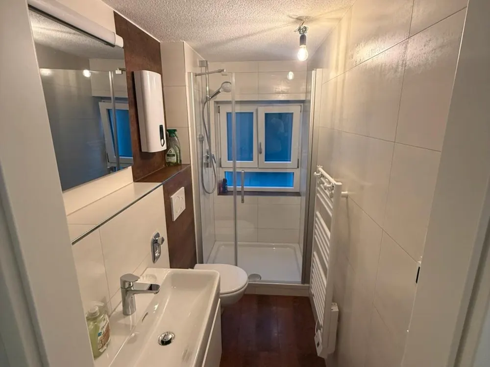Frisch renovierte 1-Zimmer-Einliegerwohnung mit Einbauküche