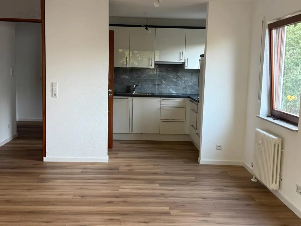 2-Room Apartment in Immenstaad am Bodensee Lake and Mountain View