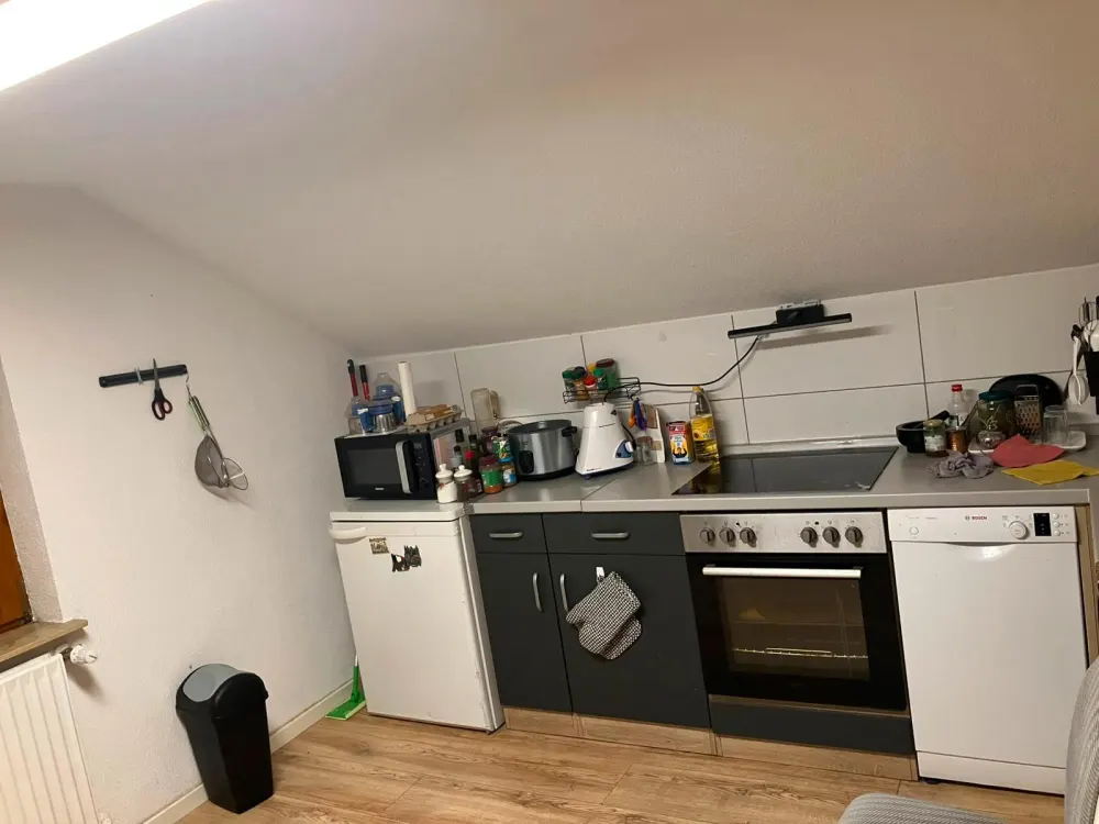Cozy 2-Room Attic Apartment for Rent