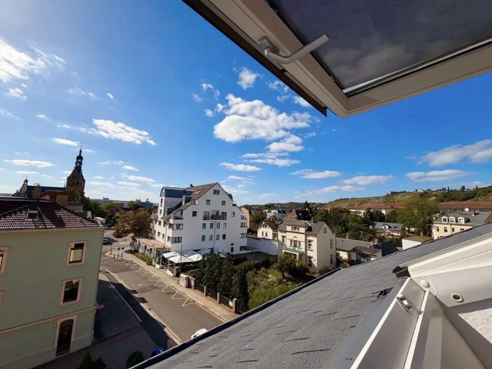 1-Zimmer-Wohnung in Radebeul mit traumhaftem Weinbergblick