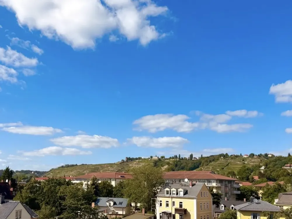 1-Zimmer-Wohnung in Radebeul mit traumhaftem Weinbergblick