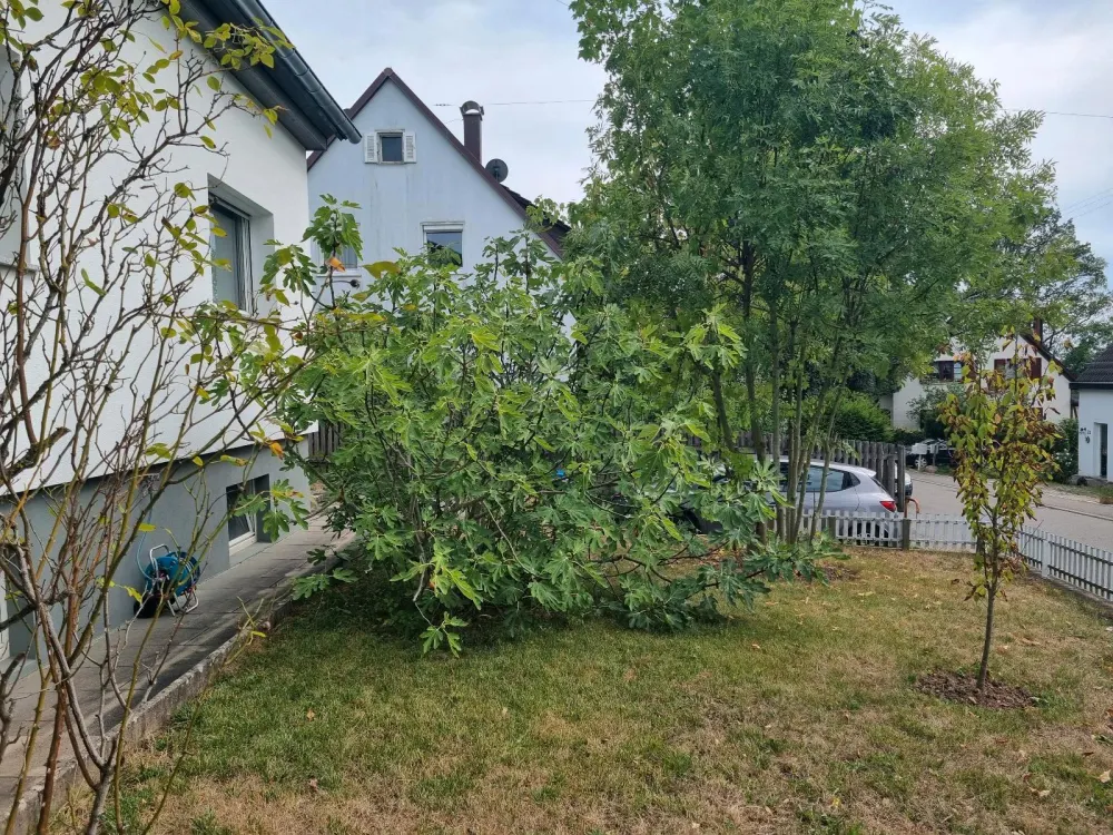 Wohnung mit eigenem Garten