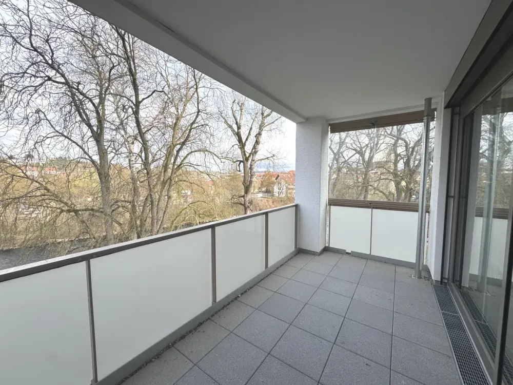 Spacious Apartment with 2 Loggias on the Neckar