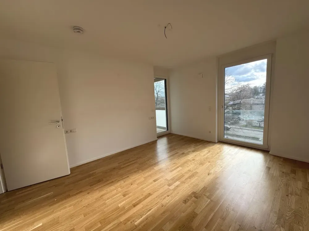 Spacious Apartment with 2 Loggias on the Neckar