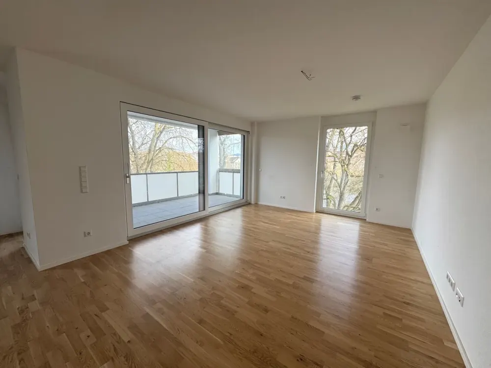 Spacious Apartment with 2 Loggias on the Neckar