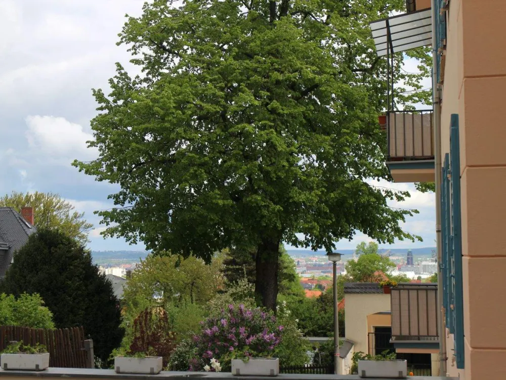 Attraktive 5,5 Raum- Wohnung in 01187 Dresden zu vermieten