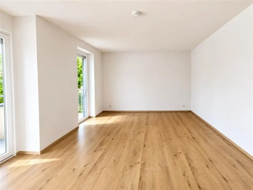NUR MIT WOHNBERECHTIGUNGSSCHEIN FÜR DEN 1. FÖRDERWEG - Wilhelmsburg ruft!