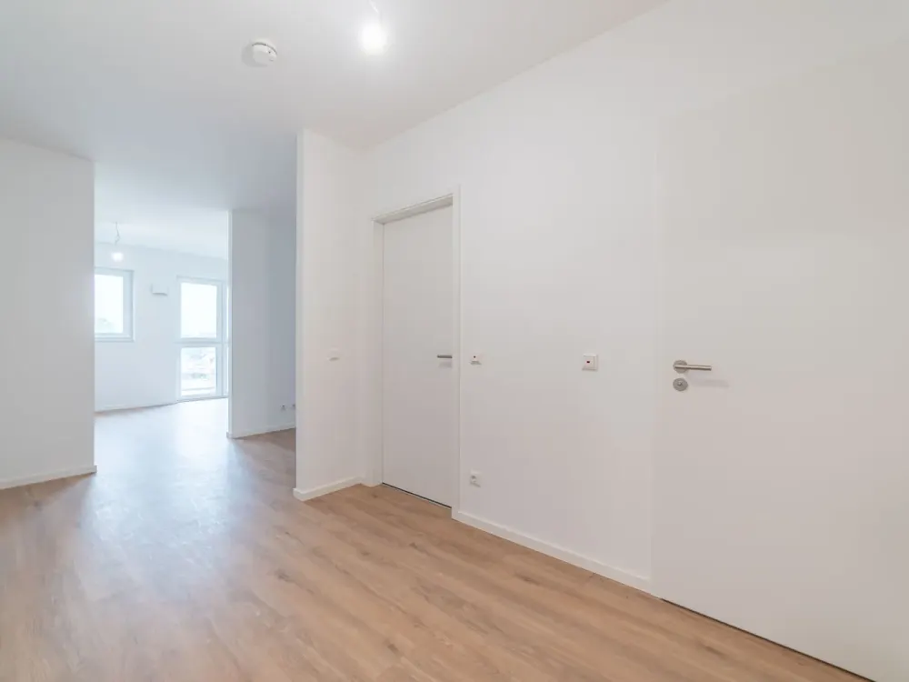 Manhattan-Style Studio Apartment Apt 244