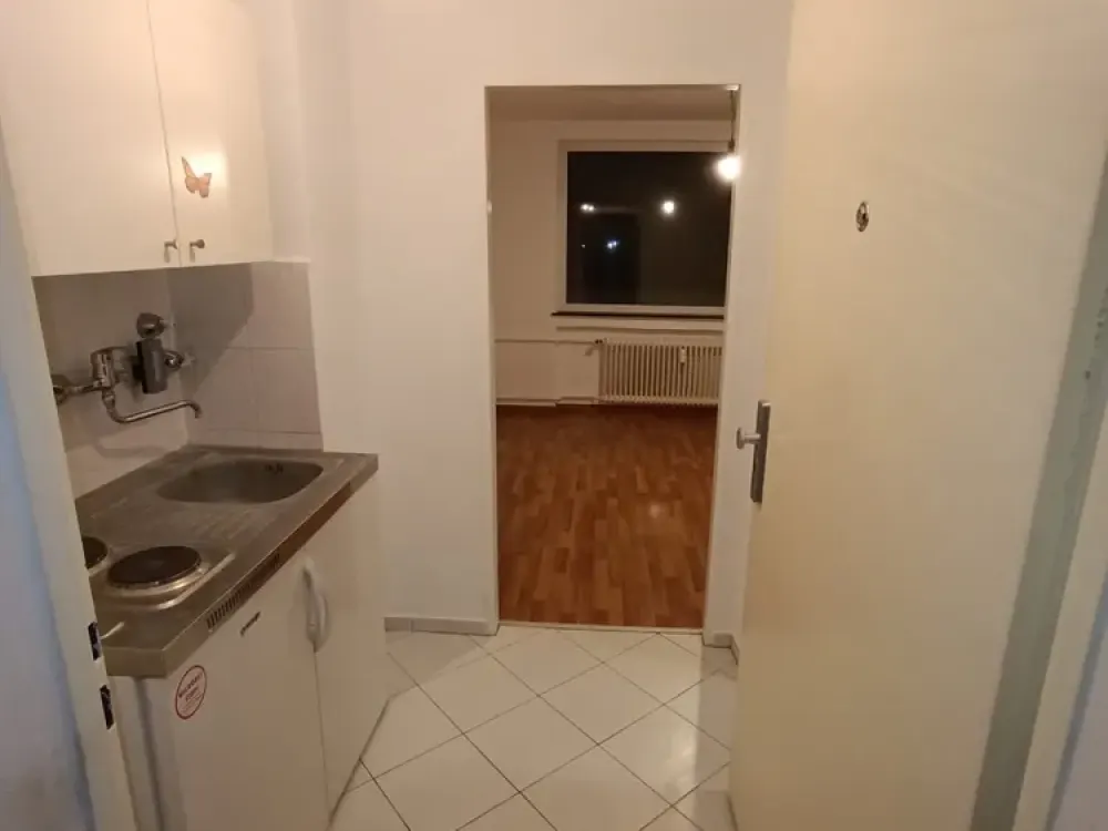 Helle 1-Zi Wohnung mit Süd-Balkon im Westend