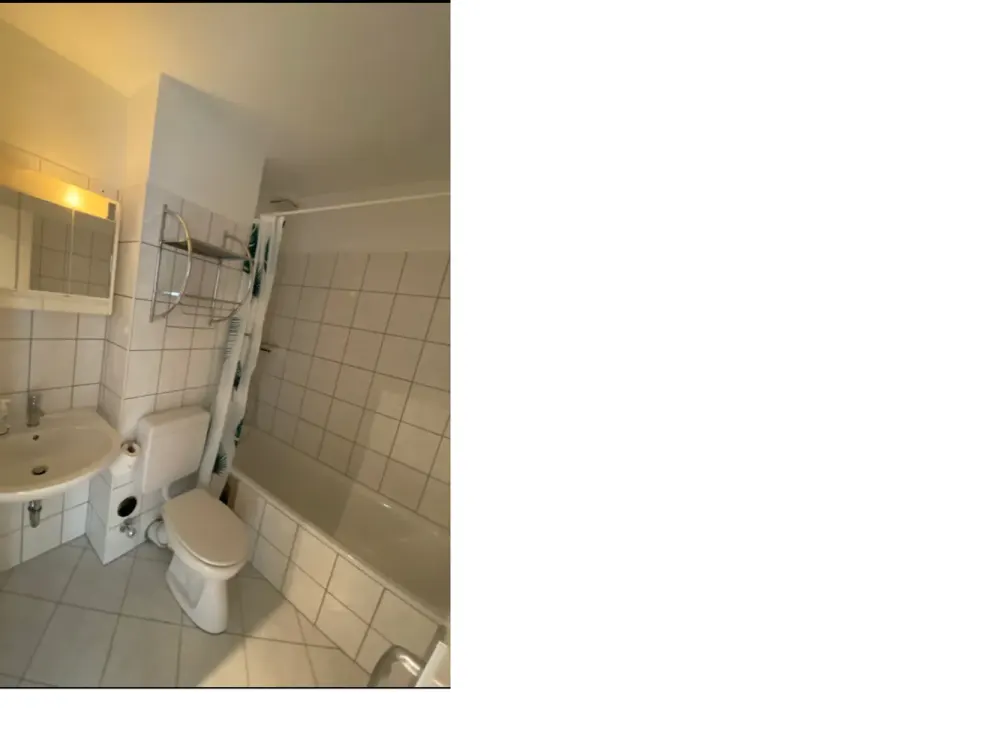 Helle 1-Zi Wohnung mit Süd-Balkon im Westend