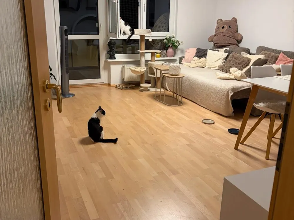 3-Raumwohnung in ruhiger Lage sucht Nachmieter!