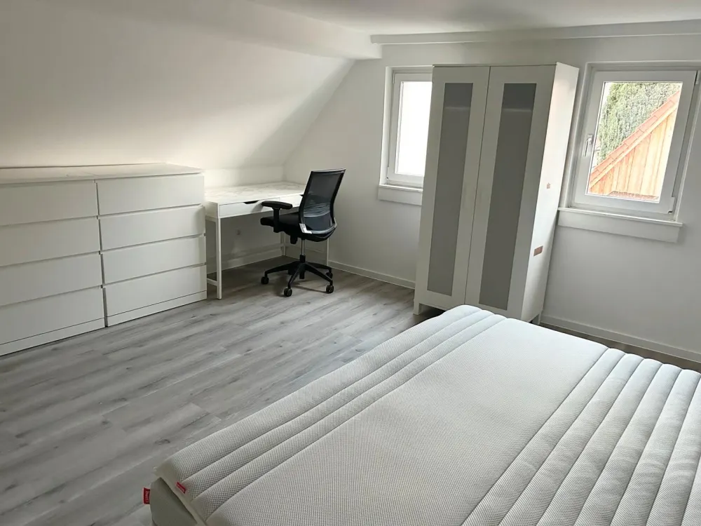Fully Renovated 3,5 Room Apartment in Egelsbach, Furnished