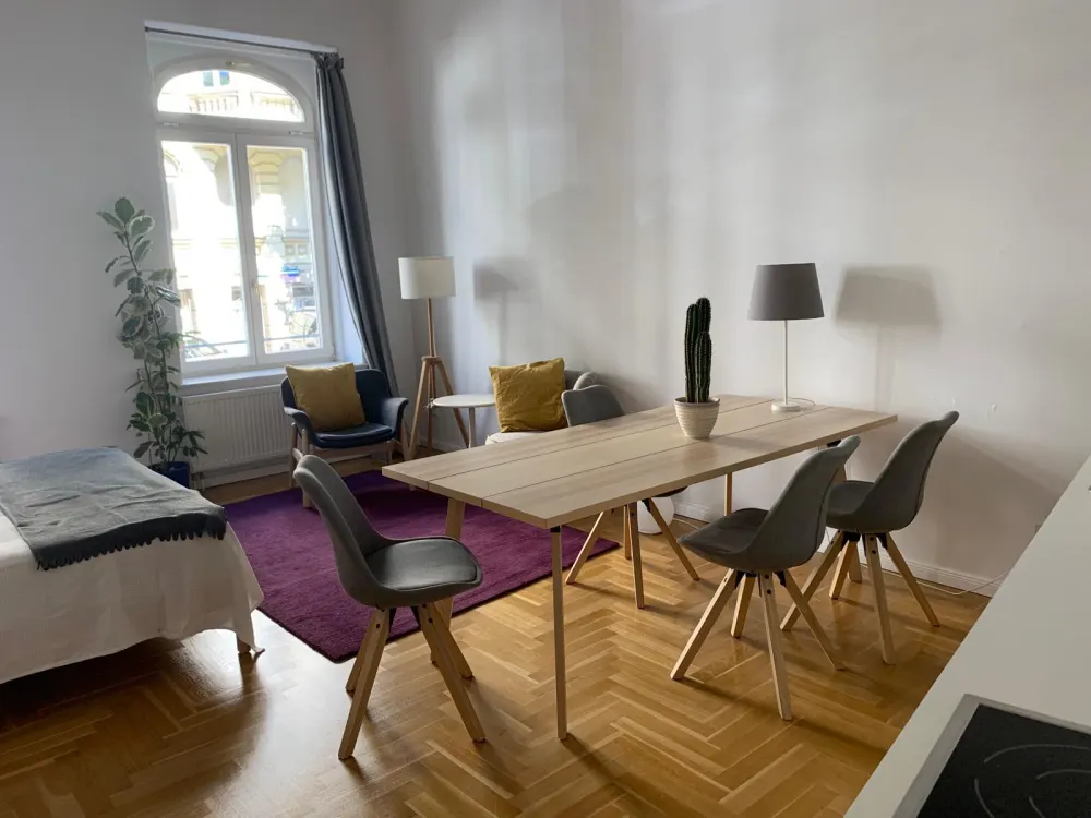 Vollmöblierte Studiowohnung in Südvorstadt
