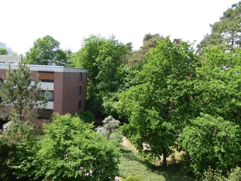 3-Room Attic Apartment in Buchholz, Completely Renovated in 2018