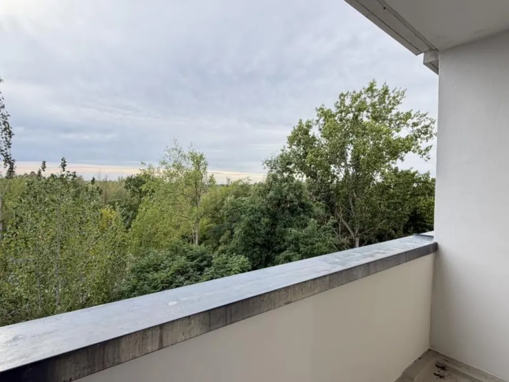 Starkes Angebot, jetzt sichern / Available Now, Arrange a Viewing Today!