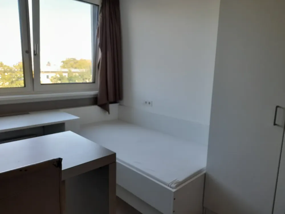 Komfortables und ansprechendes Micro Living Apartment in Frankfurt Sachsenhausen