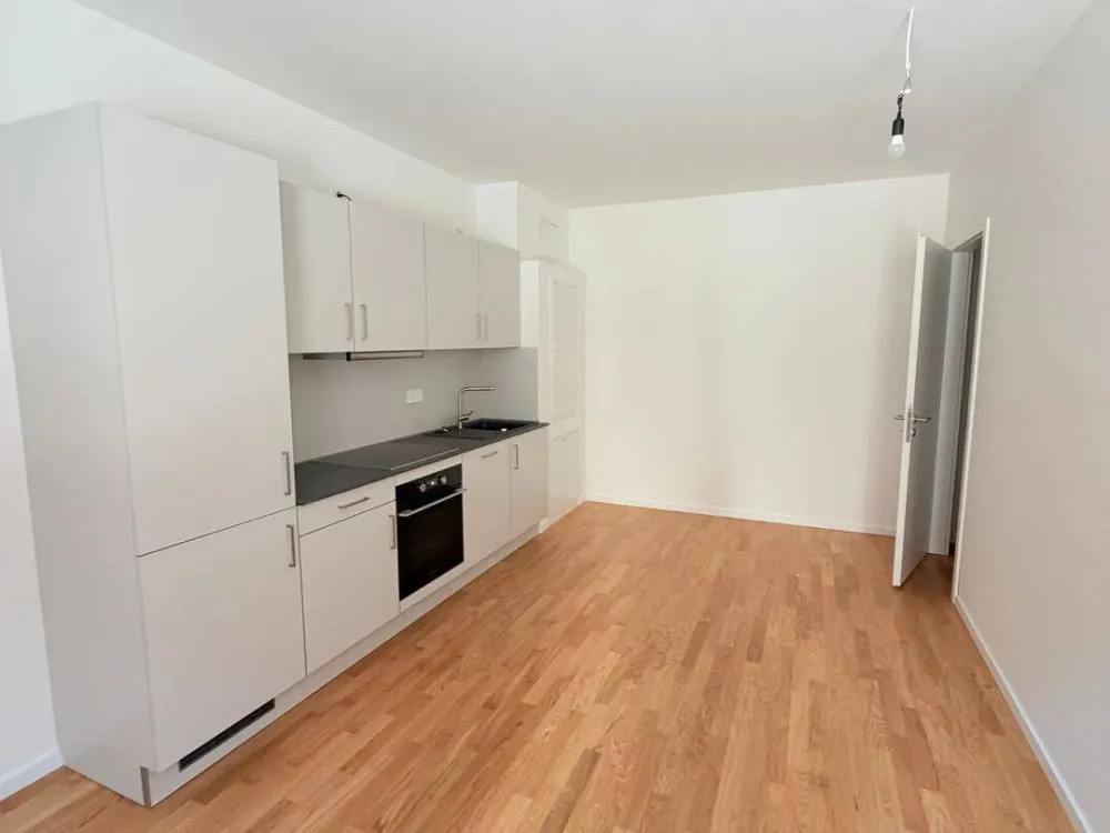 3,5 Zimmer - Sheddach Höfe