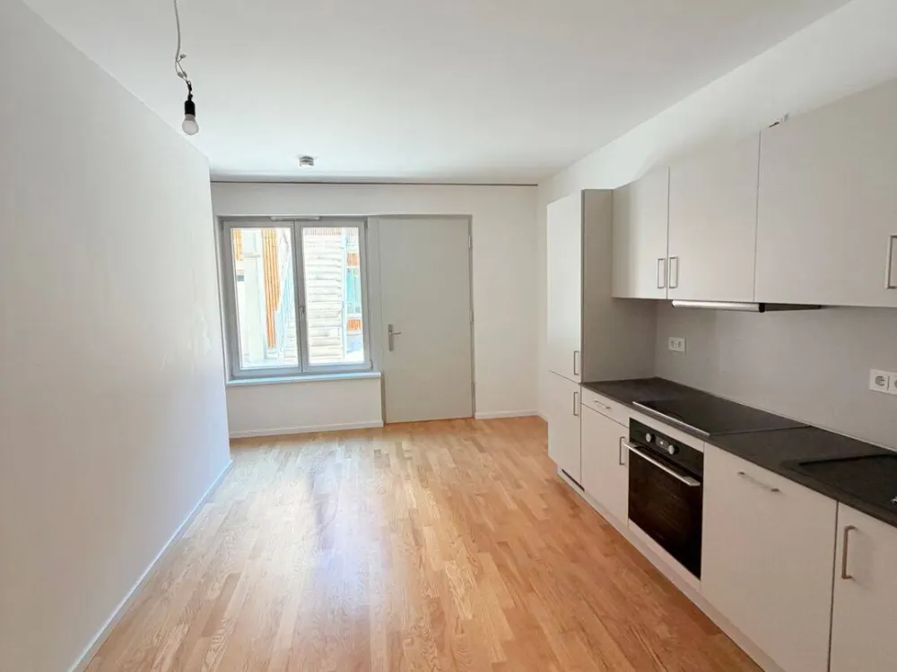 3,5 Zimmer - Sheddach Höfe