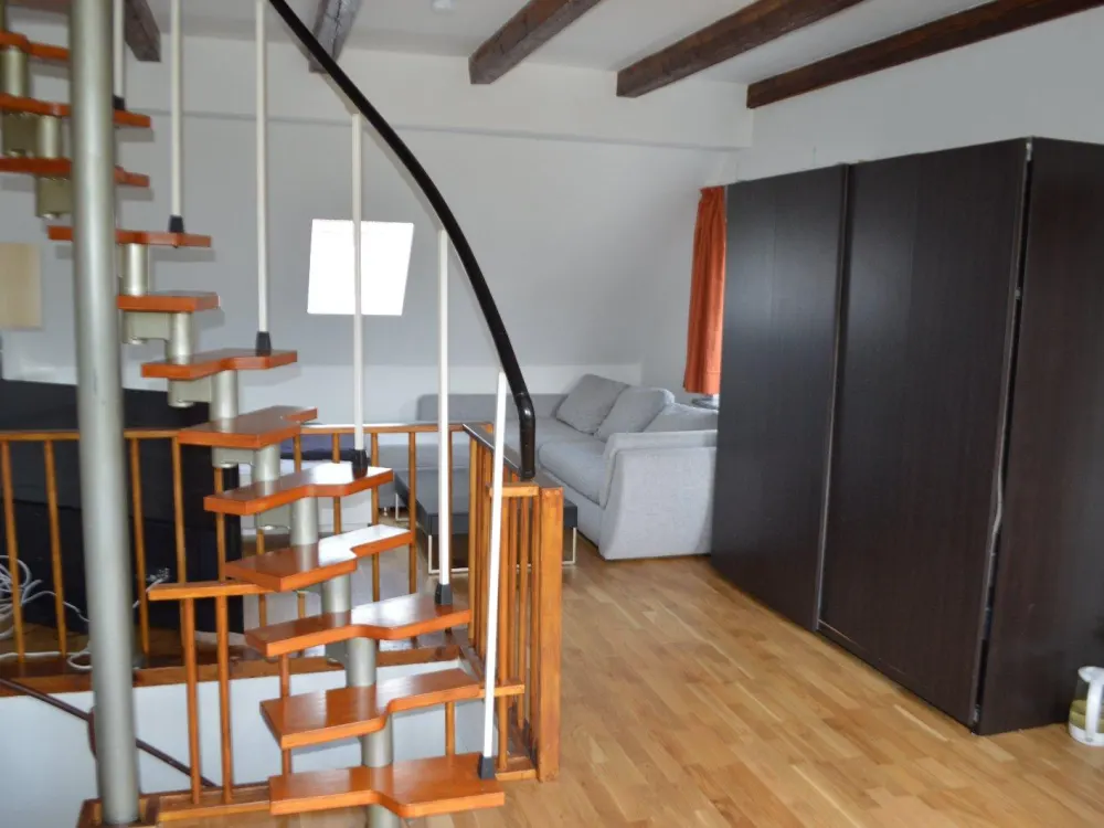 Furnished 1-room attic apartment with a large garden