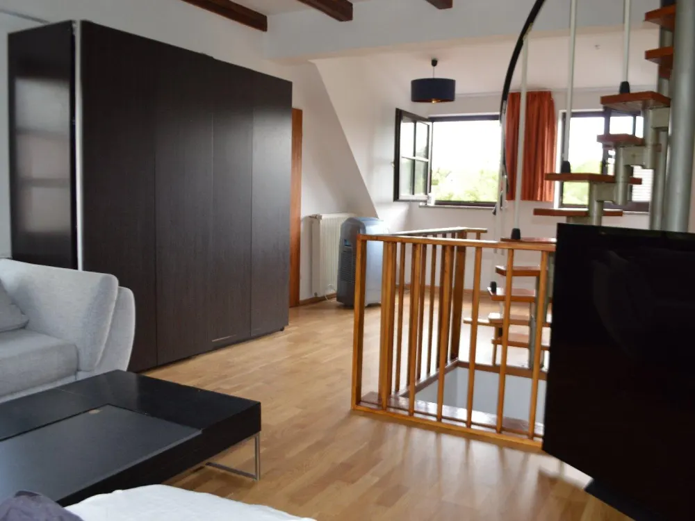 Furnished 1-room attic apartment with a large garden