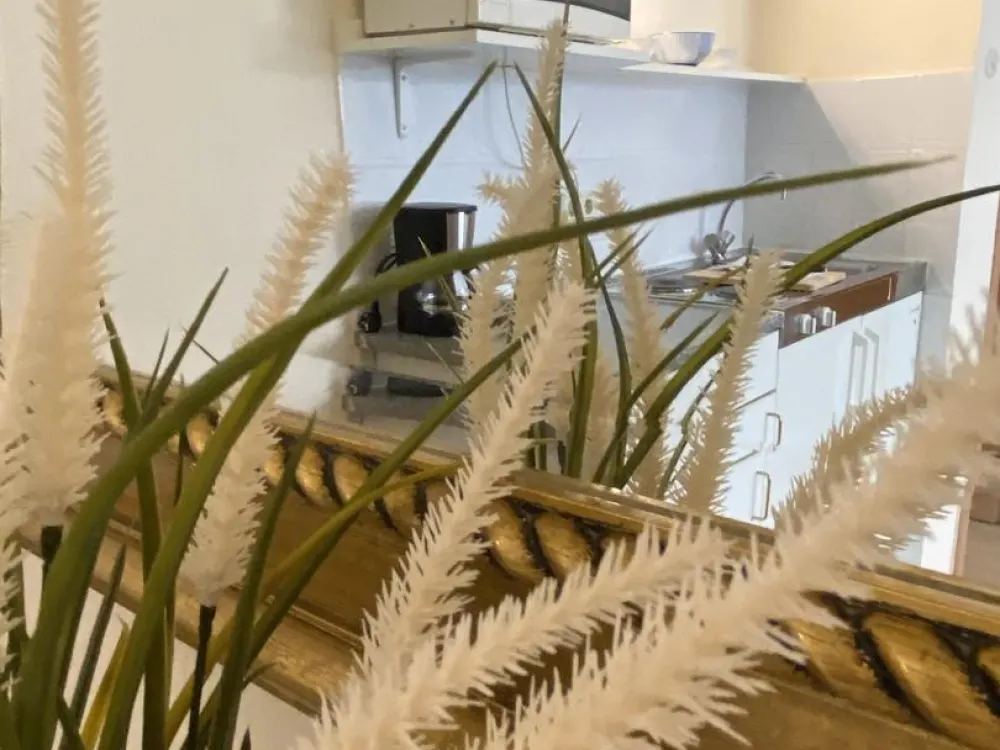 Schicke Single Wohnung (möbliert) nähe Japanviertel