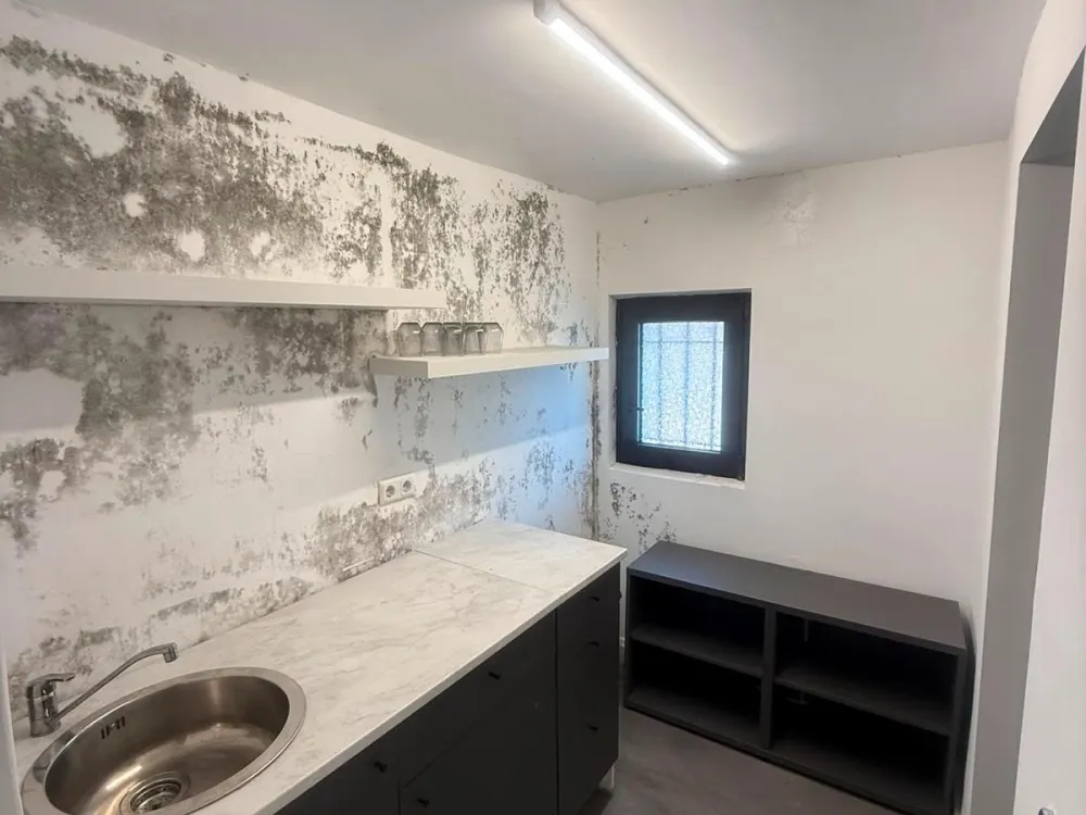 Wohnung Appartement frisch renoviert im Erdgeschoss zu Vermieten