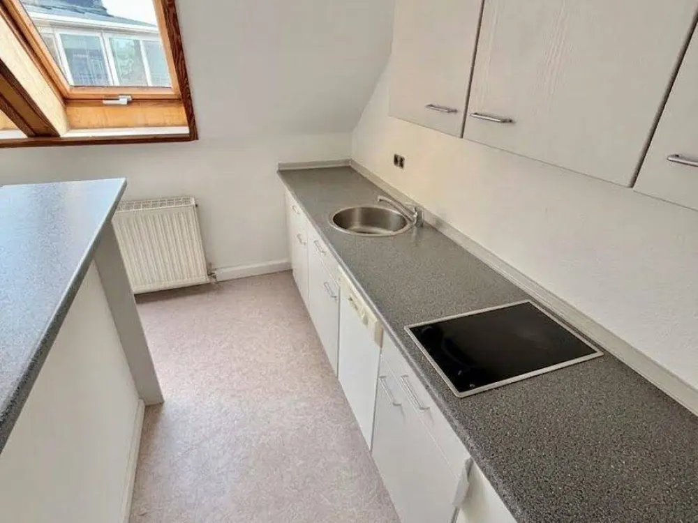Including Built-in Kitchen: Renovated 2-Room Apartment in First Occupancy