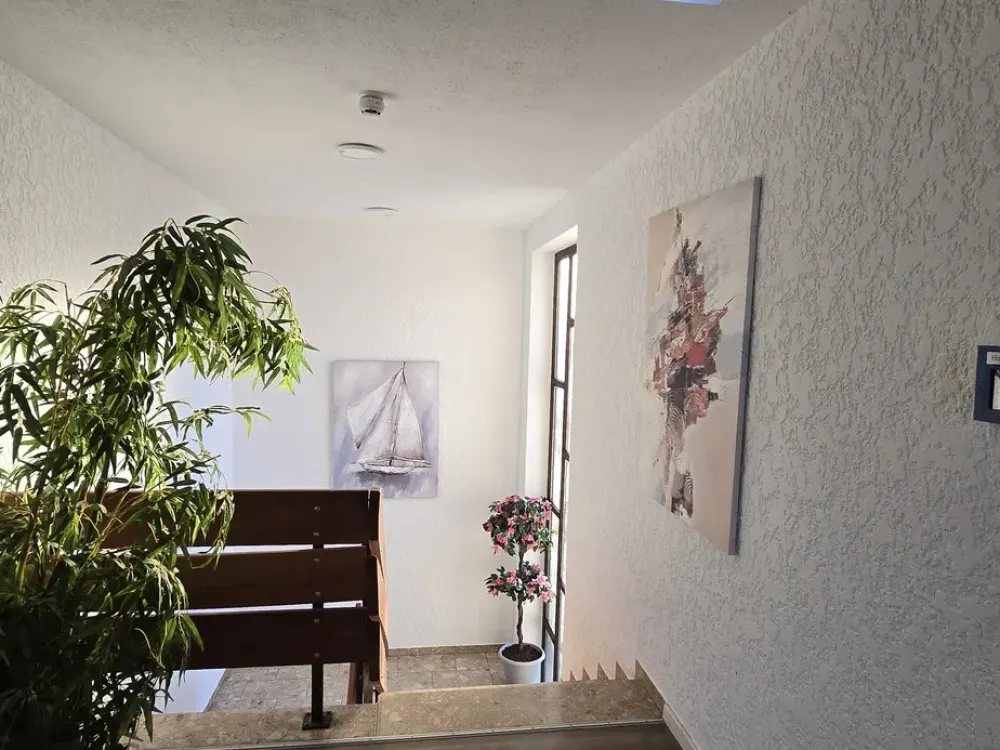 1-Room Apartment