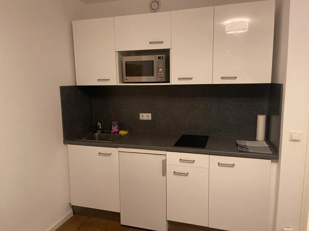 Ein Zimmer Wohnung zu mieten Leo 206