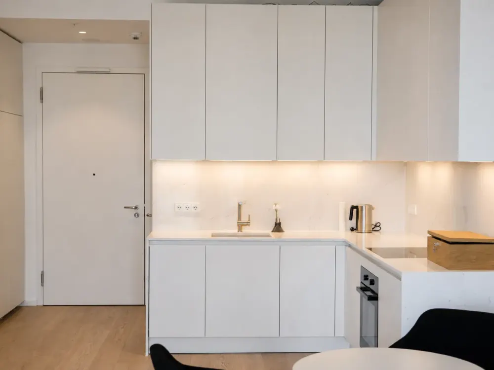 FOUR: Stylish 2-Room Apartment with Main River View