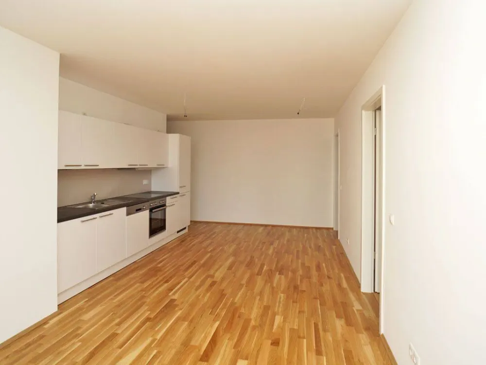 City and close to the Elbe: Balcony + fitted kitchen