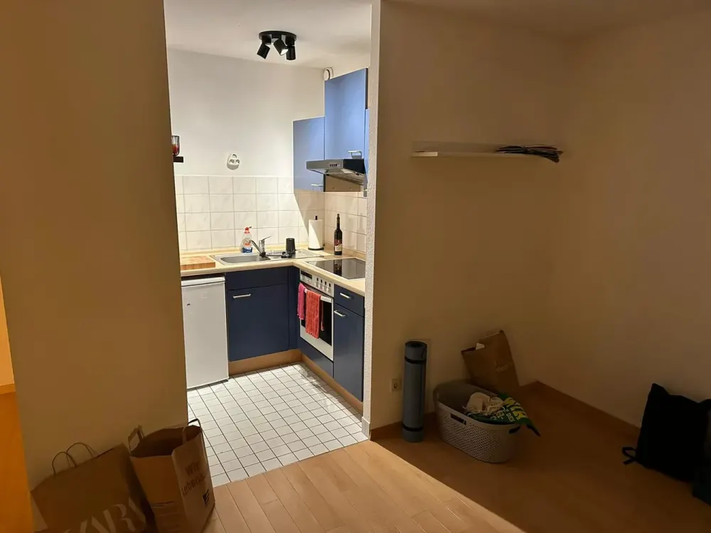 Charming 1-Room Attic Apartment in Markdorf