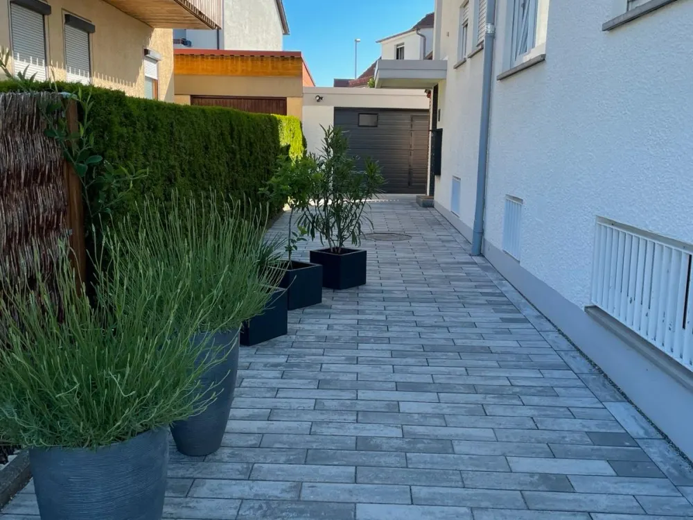 Wohnung zur Miete