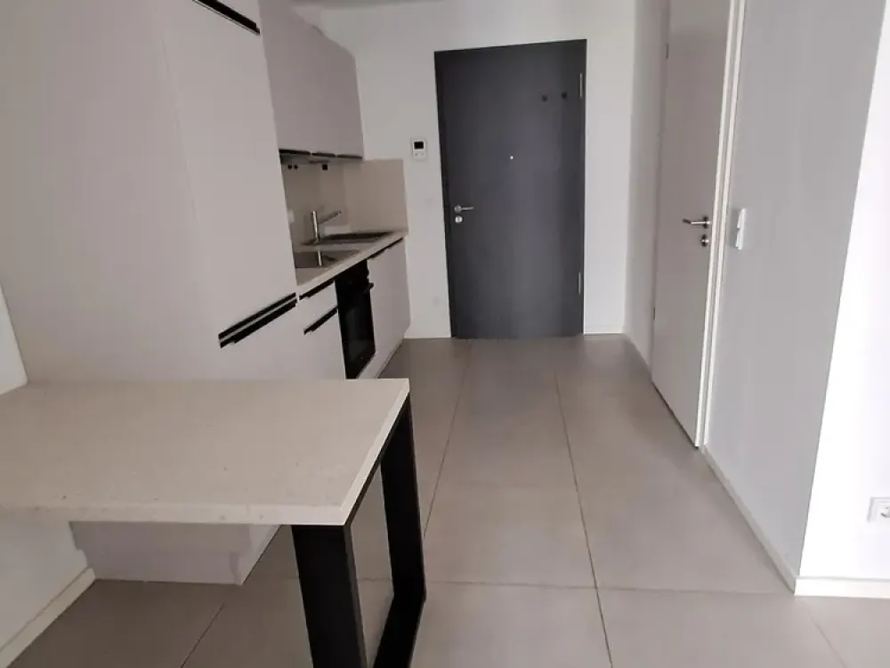 Terrace-Adjacent 2-Room Apartment on the Ground Floor in Dortmund (44227)