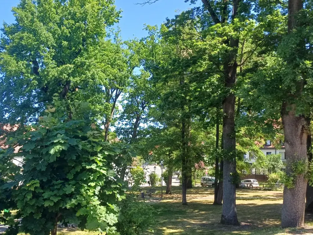 Newly renovated 3 1/2 room ground floor old building apartment Eichenplatz incl. large terrace/small garden (also for studio/office/..)