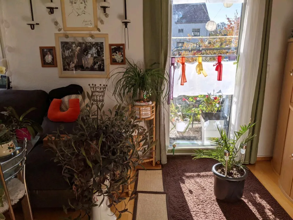 3 Raum Wohnung f. 7 Monate