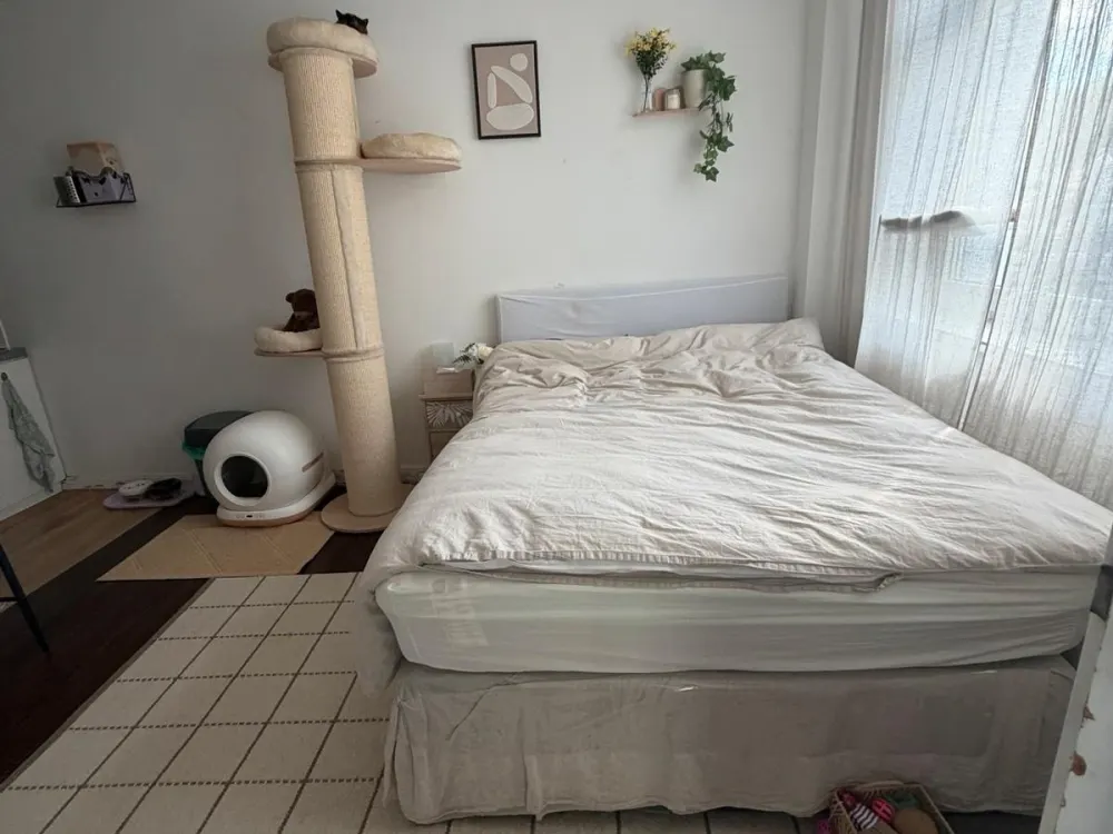 Nachmieter gesucht, 20 m² 1-Zimmer-Wohnung in Neu-Isenburg