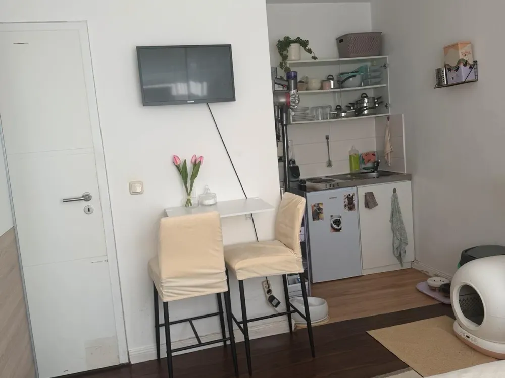 Nachmieter gesucht, 20 m² 1-Zimmer-Wohnung in Neu-Isenburg