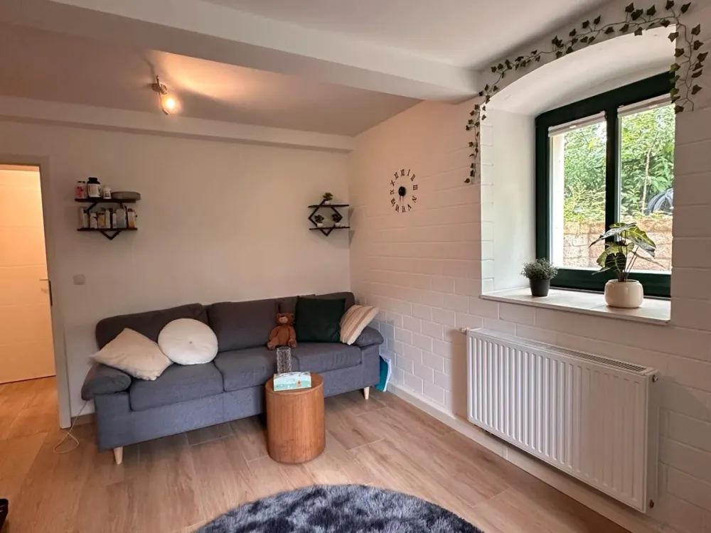 Möbelierte 2 Zimmer Wohnung Untergeschoss Ab Oktober einziehbar!!