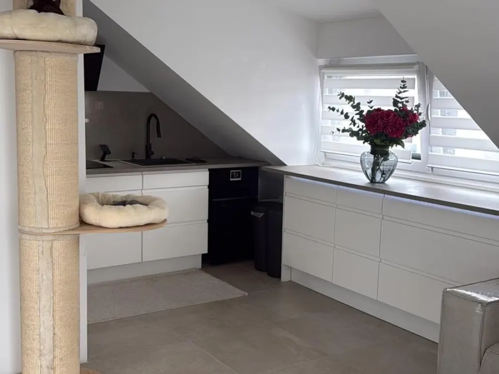 Moderne 2-Zimmer-Dachgeschosswohnung mit ca. 55 m² + Terrasse