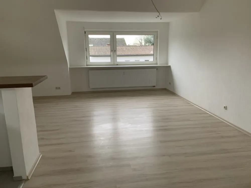 1.5-Room Attic Apartment