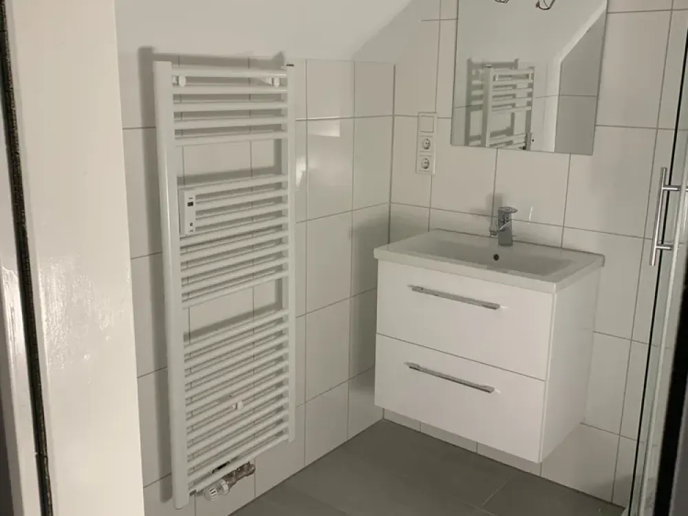 1.5-Room Attic Apartment