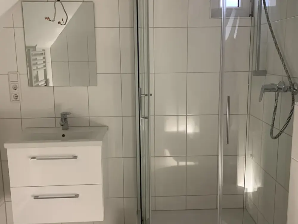 1.5-Room Attic Apartment