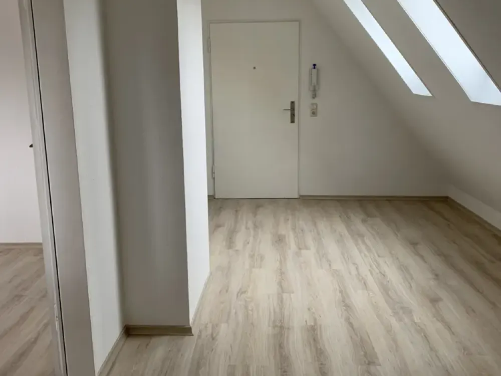 1.5-Room Attic Apartment