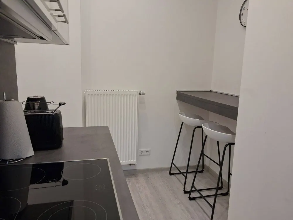 1 ZW möbliert in Frankfurt Gallusviertel
