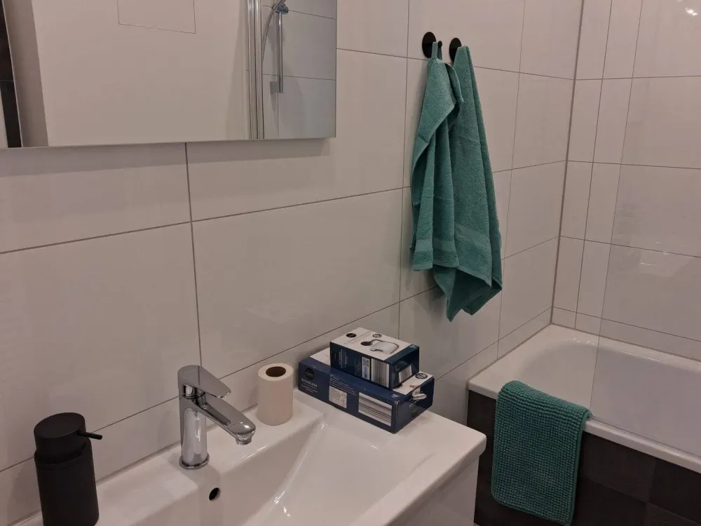 1 ZW möbliert in Frankfurt Gallusviertel