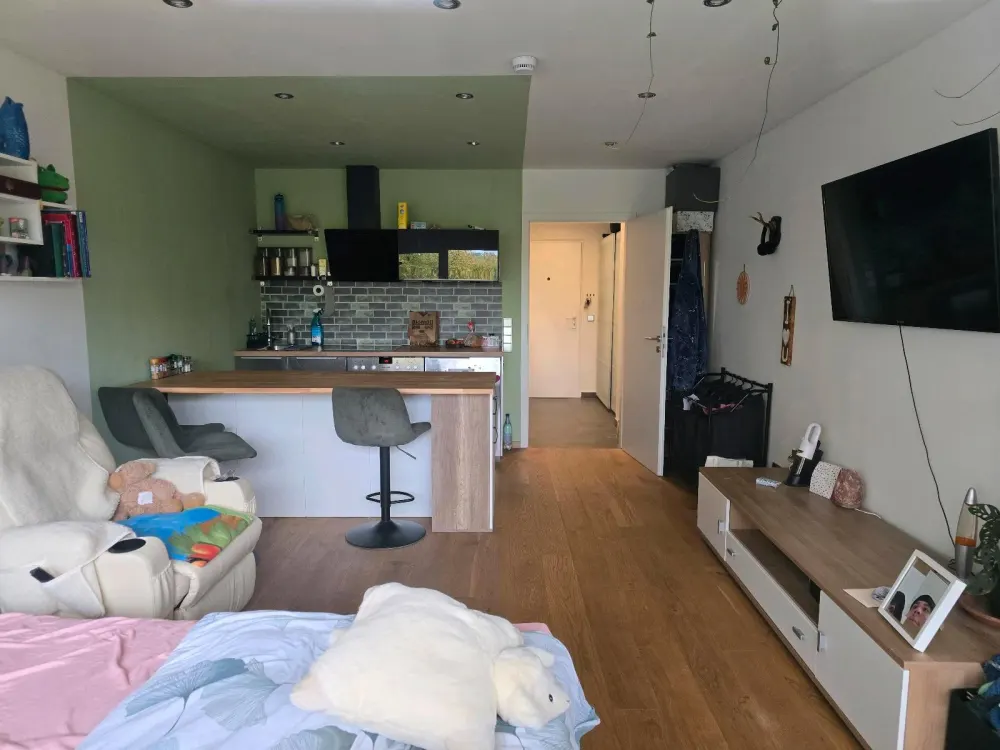 Looking for a new tenant for a nice 1-room apartment in Nürnberg Katzwang