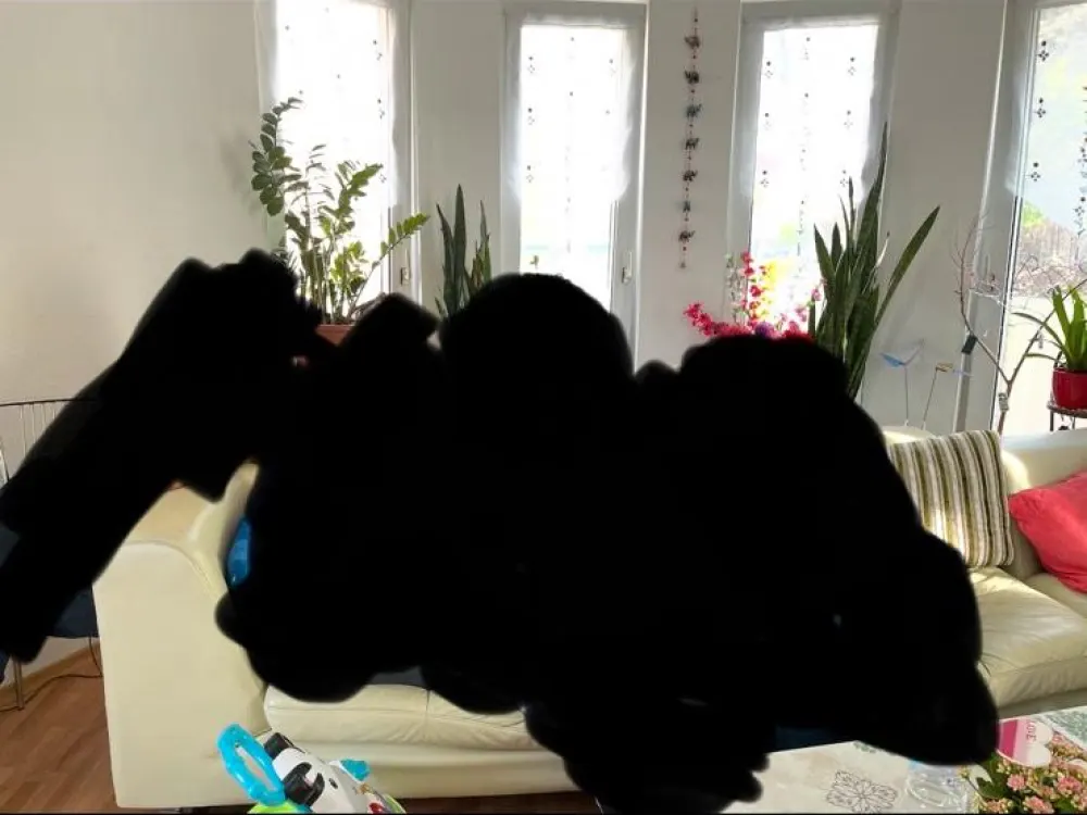 Langfristige Untervermietung, 2-Zimmer Wohnung in Kreuzberg