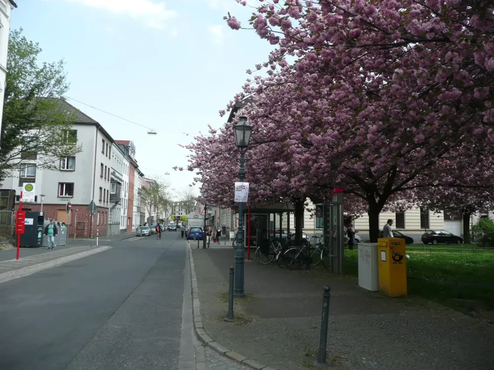 Jung und modern Wohnen im Samtweber-Viertel (Inkl. Einbauküche)
