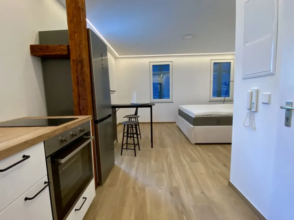 Exklusive 1-Raum-Wohnung mit luxuriöser Innenausstattung in Esslingen am Neckar